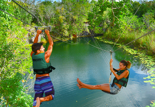 Xenotes